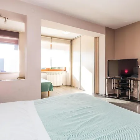 Front In With Wifi Appartement Rijeka